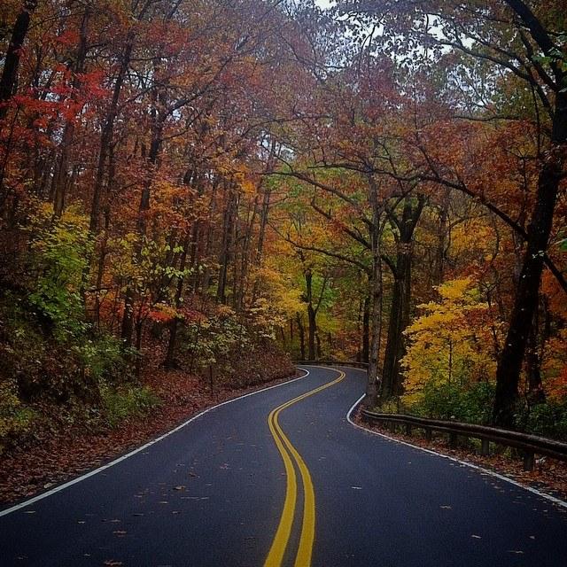 Ford Maverick Slippery Mode-Better Gas Mileage? autumn