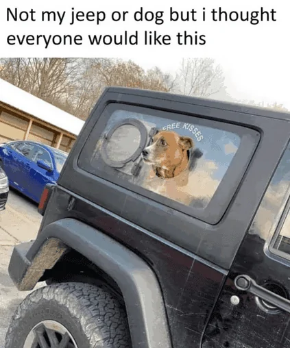 Ford Maverick Post Your Pet Pics: Dog, Cat or Whatever+ Pet Memes 1709251257639