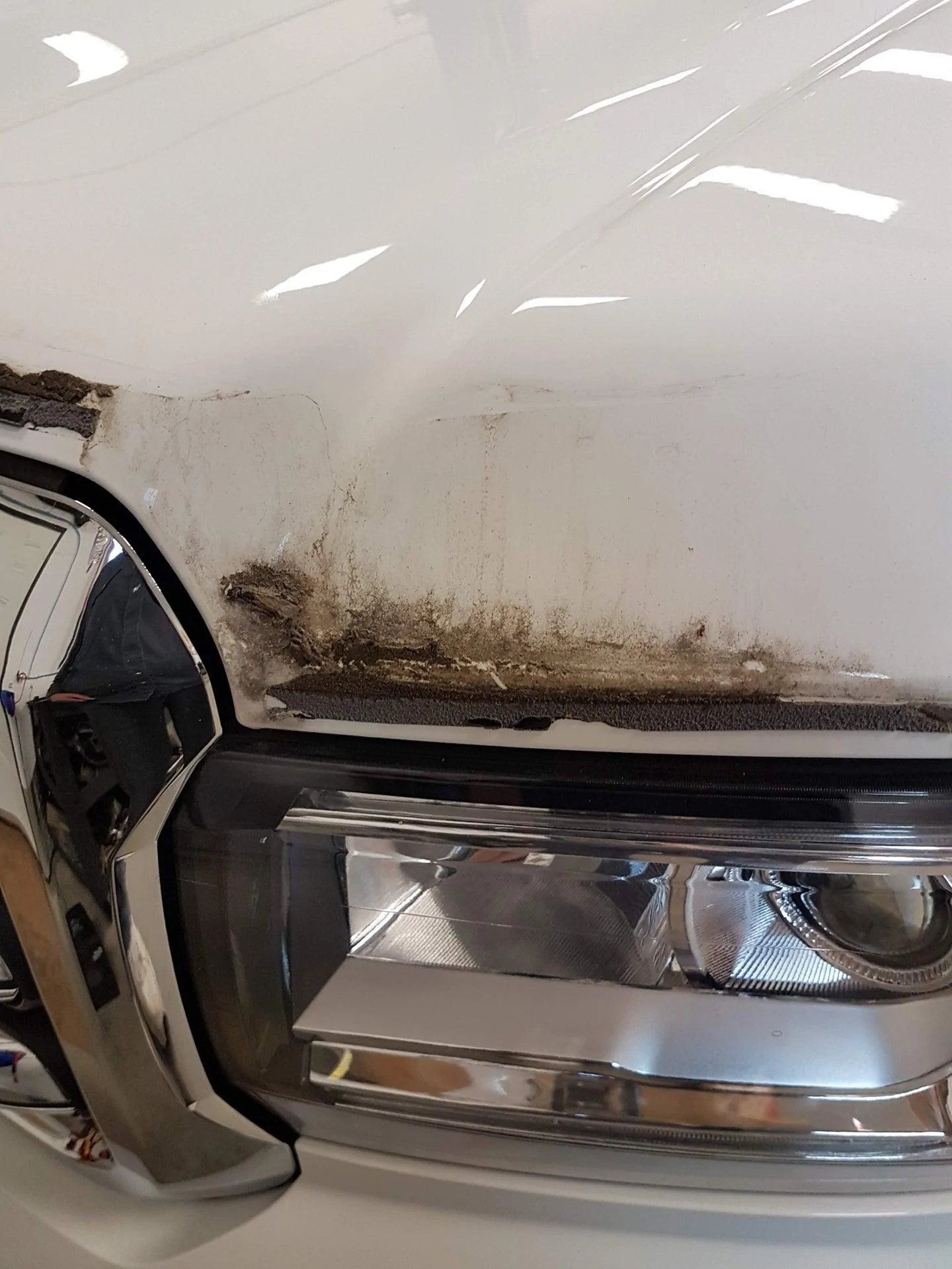 Ford Maverick Accessory #1: Bug Guard 20191103_103415