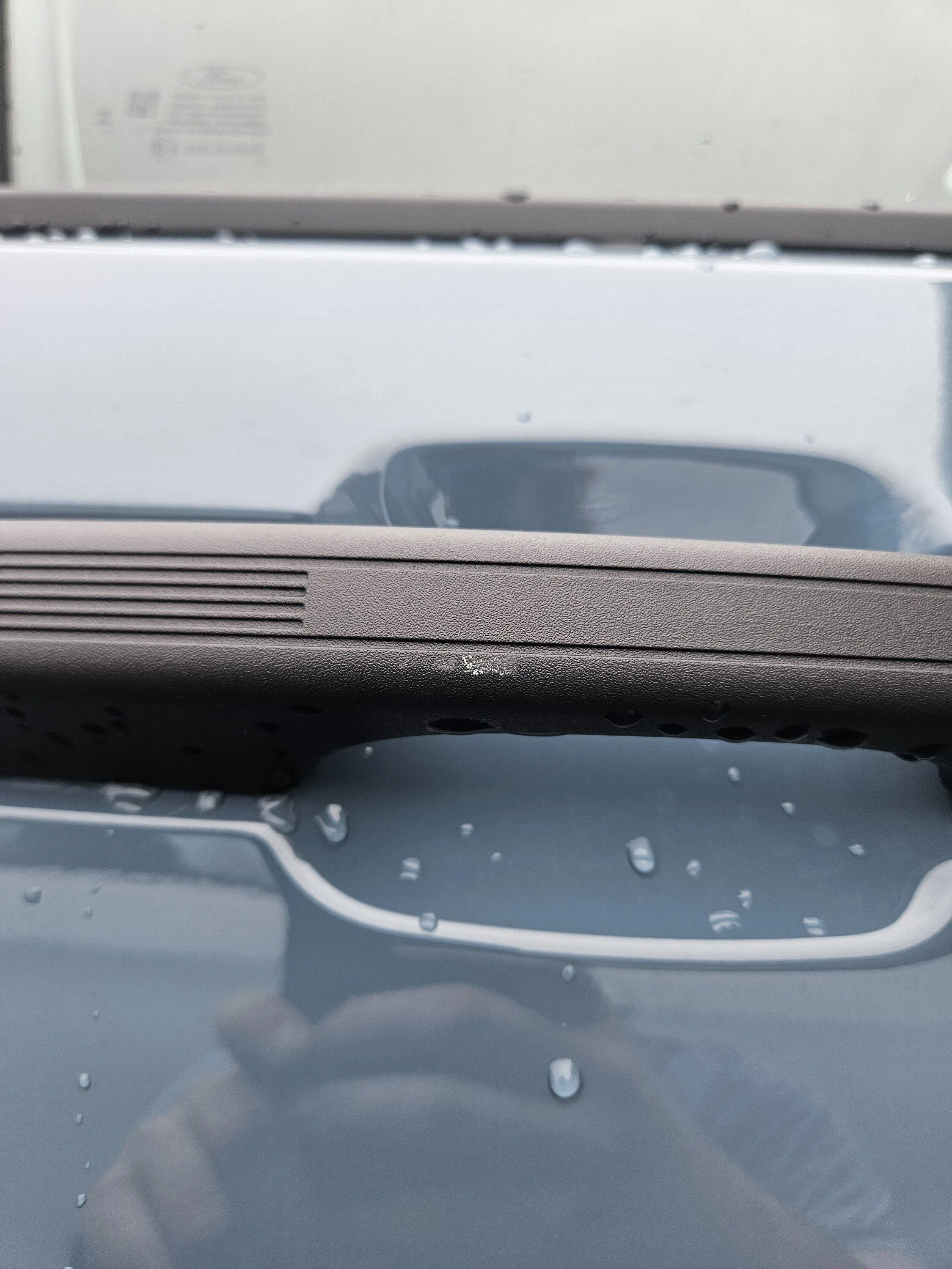 Ford Maverick Paint on Handle 1000011477