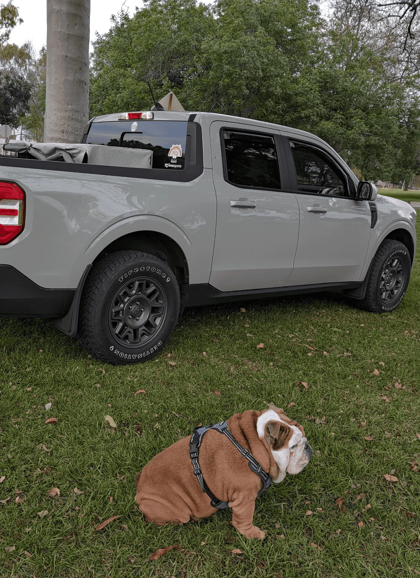 Ford Maverick Question should I install mud flaps Screenshot_20240309-072643~2