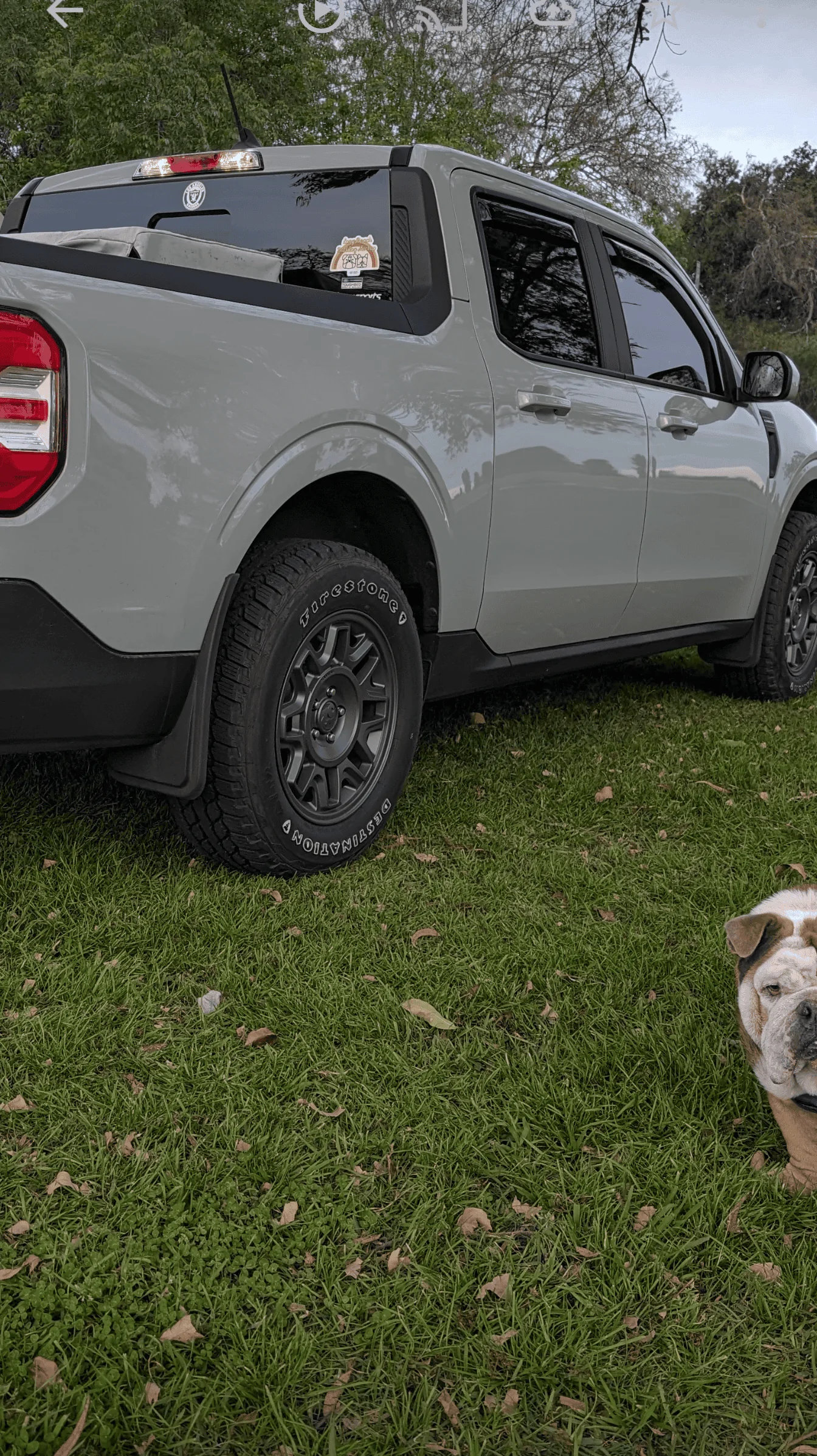 Ford Maverick Question should I install mud flaps Screenshot_20240309-072716~2