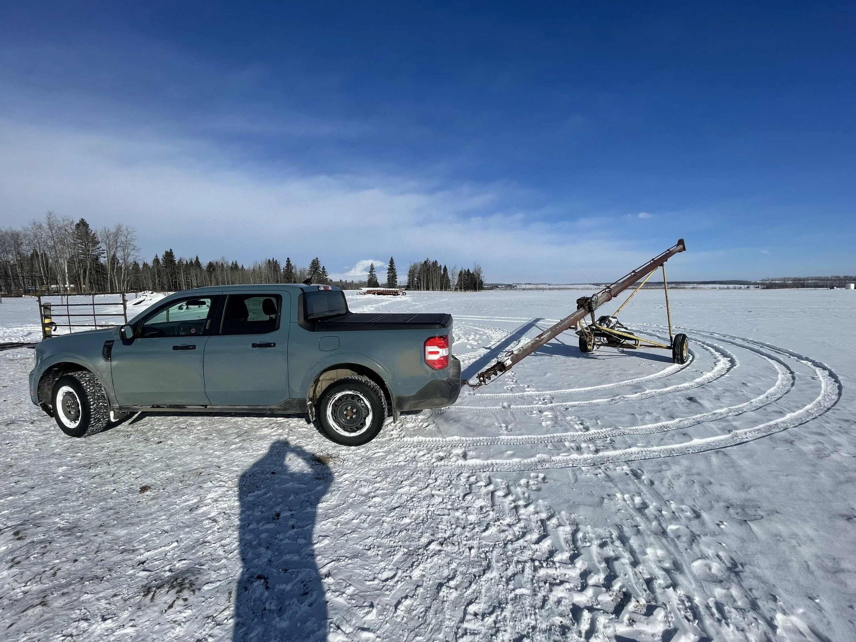 Ford Maverick Hybrid helping on the farm 8D9845E8-BE16-44B2-815C-97BF6F8D34F7
