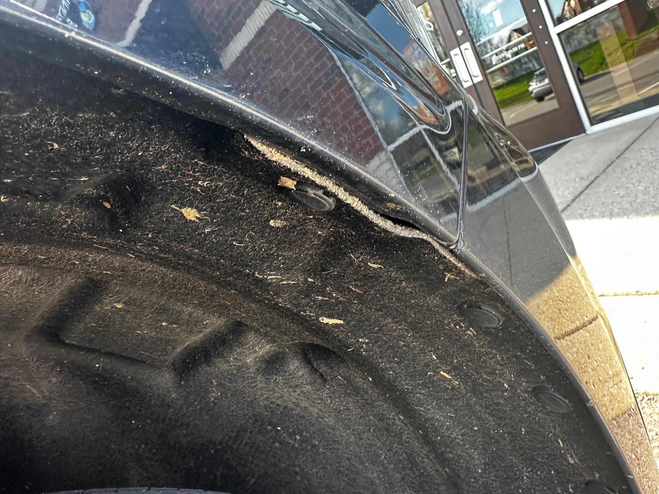Ford Maverick Wheel Well Liner IMG_5603.JPG