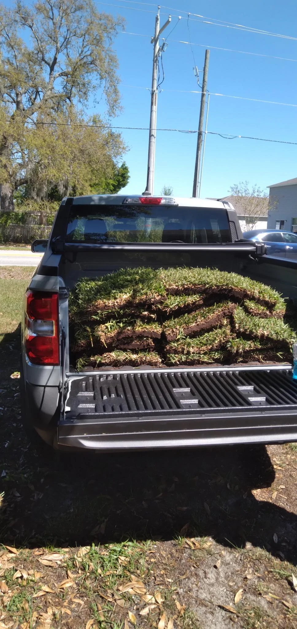 Ford Maverick Haulin’ grass in my hybrid!! EC1C3EC3-49B3-4D43-9684-00925F85EF9C
