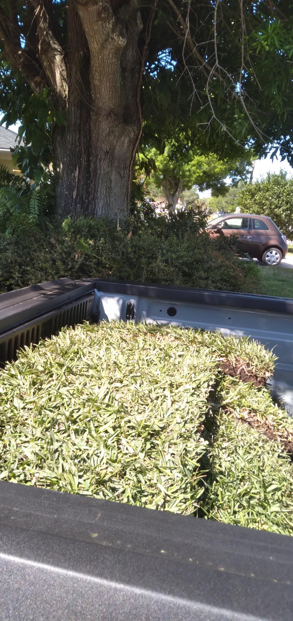 Ford Maverick Haulin’ grass in my hybrid!! 70AE82AA-8EAC-472F-A46C-FFFC2C9E4817