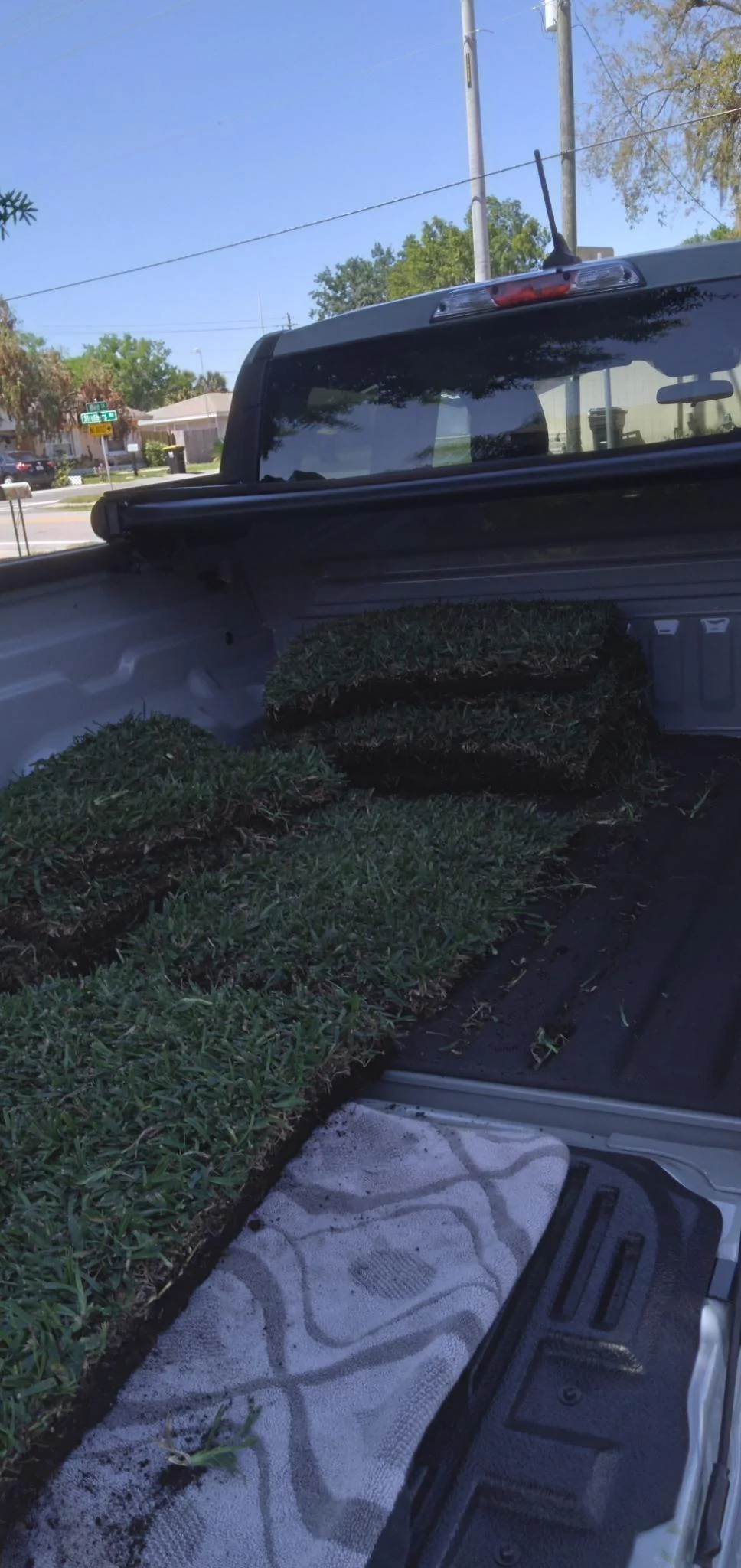 Ford Maverick Haulin’ grass in my hybrid!! CC5731B6-1953-4B5F-882E-18F03CC0C194