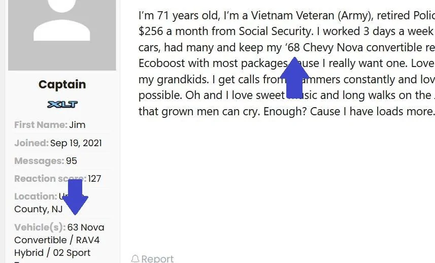 Ford Maverick Your age / occupation? Captain convertibl