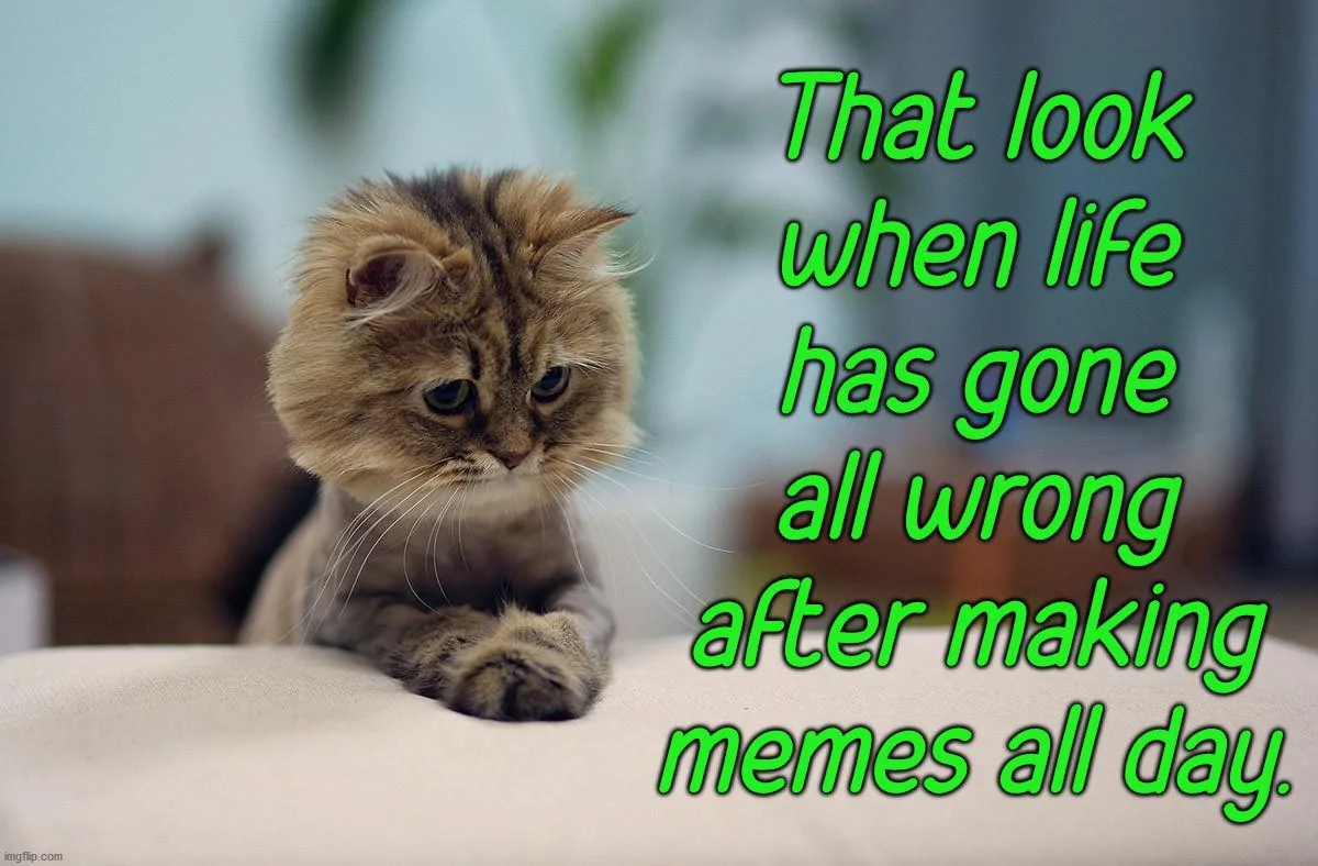 Ford Maverick Maverick Memes -  fun diversion while we wait [ ** NO POLITICS ** ] 5s9kc