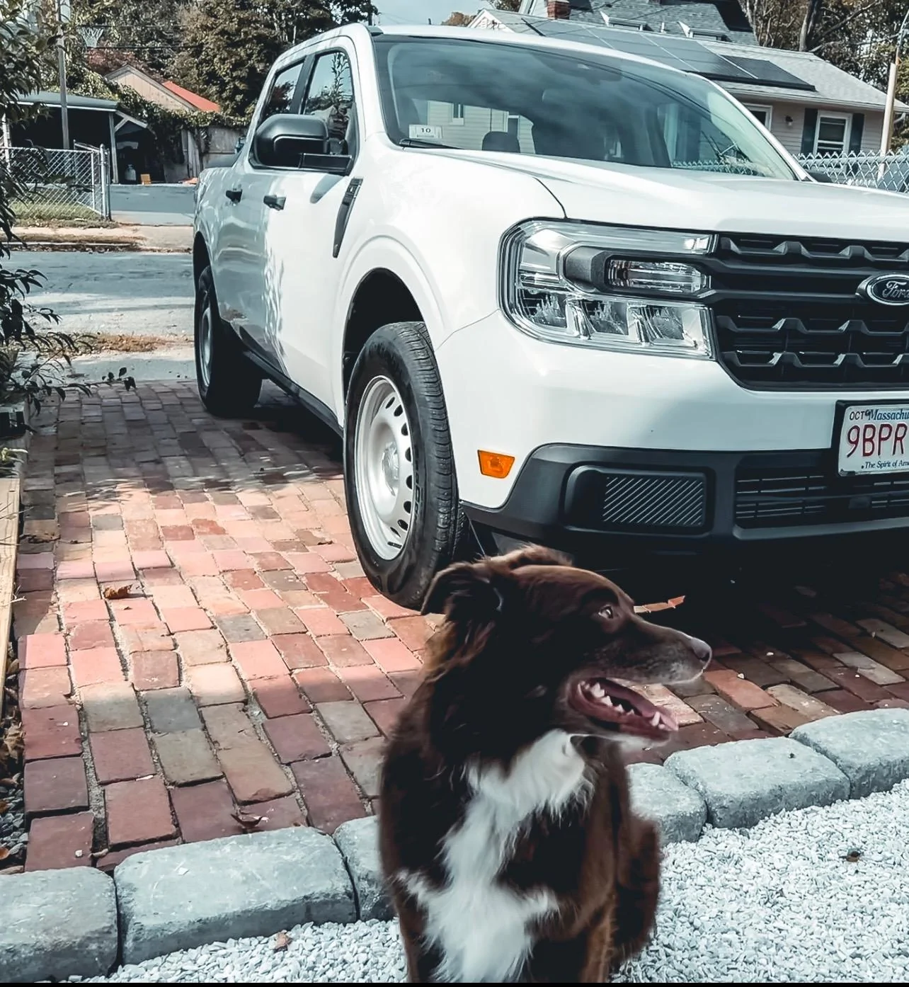 Ford Maverick Pets! embertruck