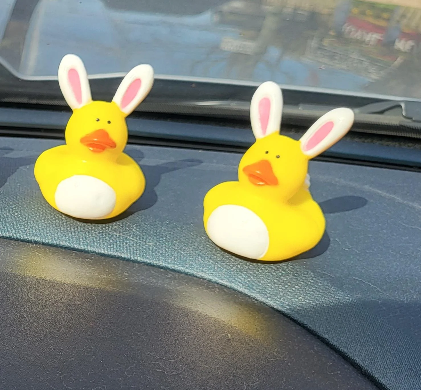 Ford Maverick Jeeps got ducks, Maverick's have... 2