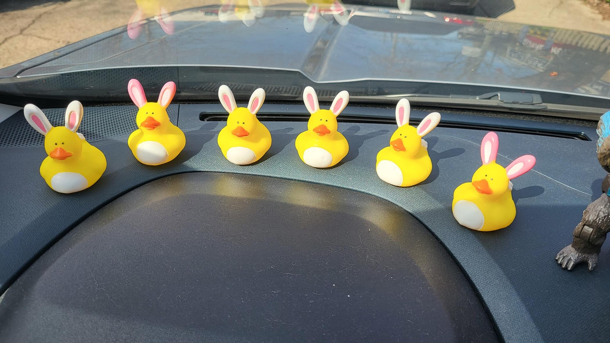 Ford Maverick Jeeps got ducks, Maverick's have... 20240330_111013