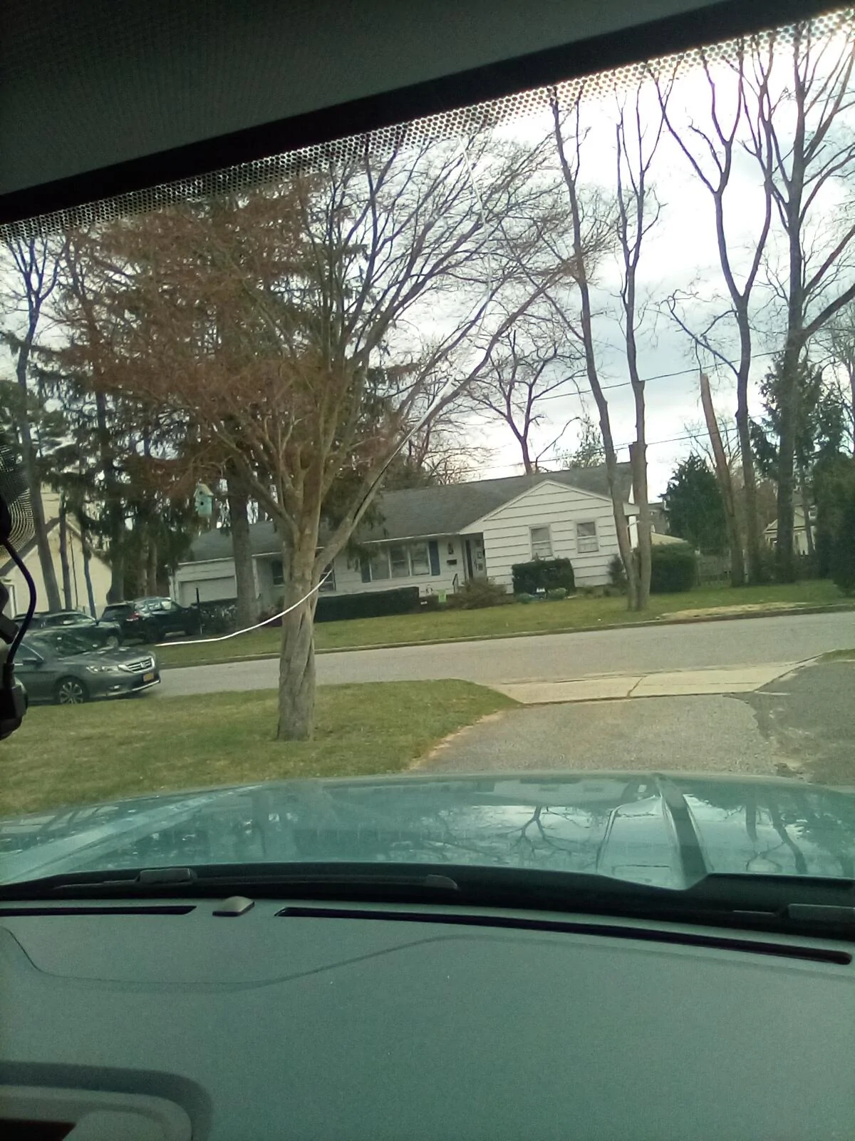 Ford Maverick Cracked windshield problem IMG_20240317_105736