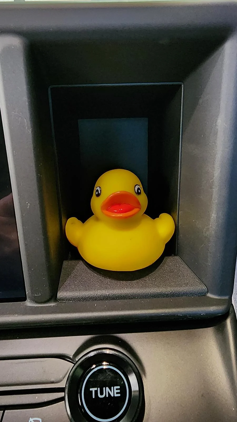 Ford Maverick Jeeps got ducks, Maverick's have... 20240331_134733