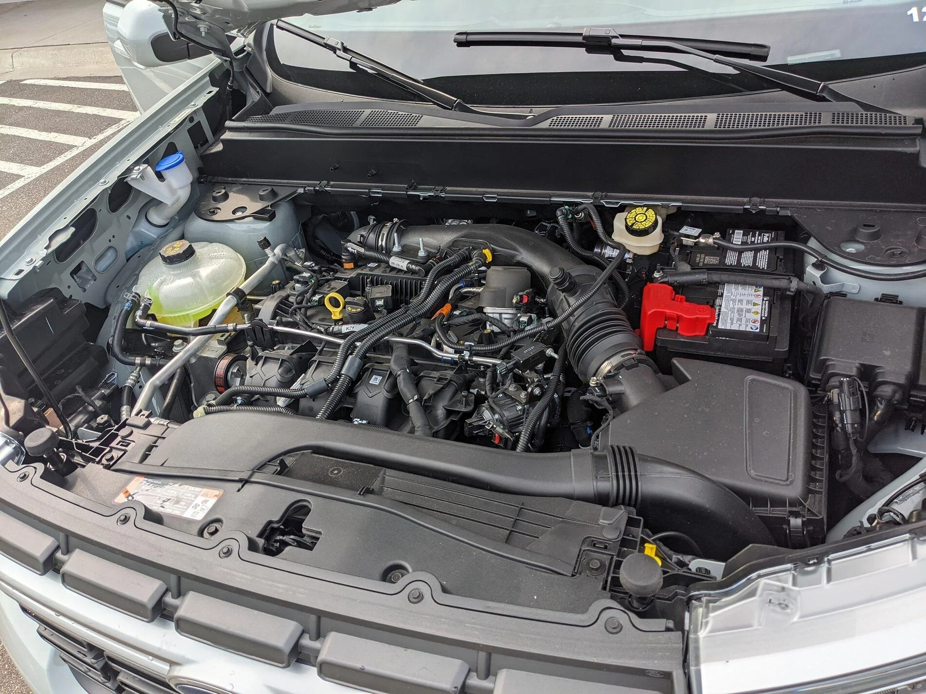 Ford Maverick CACTUS GRAY Maverick Photos Thread 587329_10115944230581038_3806728616975388242_n-jpg