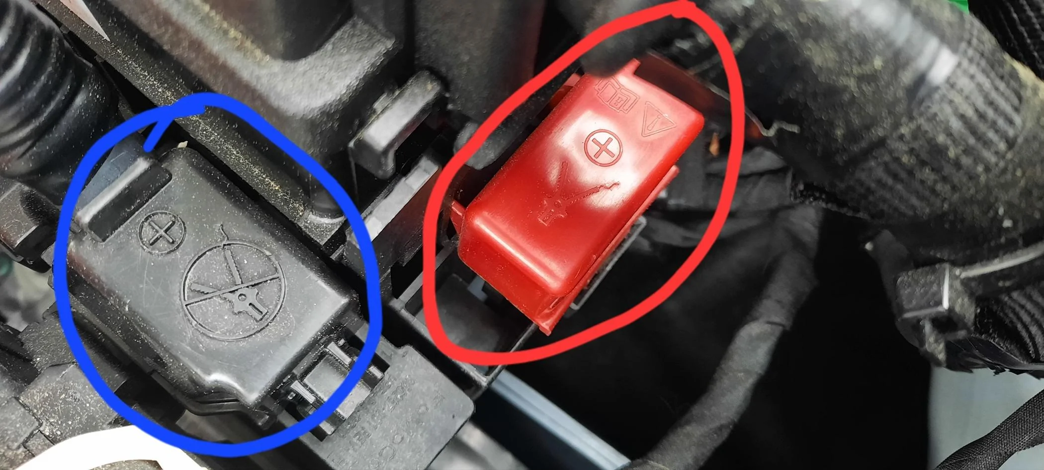 Ford Maverick Which terminals to use to Jumpstart 2024 Hybrid 20240402_110809