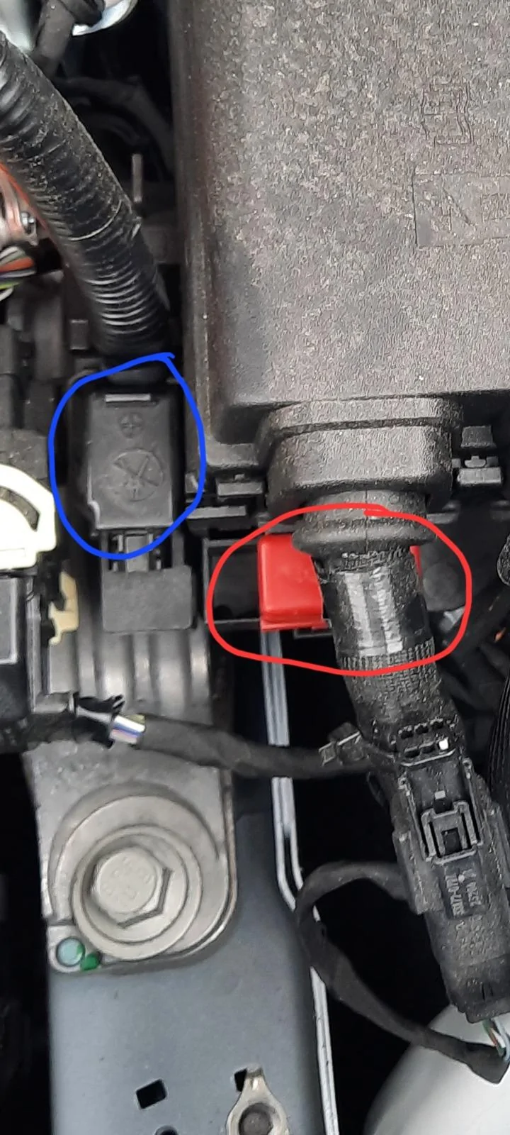 Ford Maverick Which terminals to use to Jumpstart 2024 Hybrid 20240402_110420