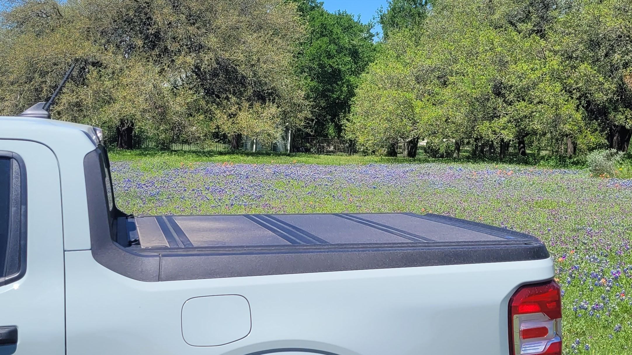 Ford Maverick Obligatory Maverick/Texas Bluebonnets pics bluebonnets 1