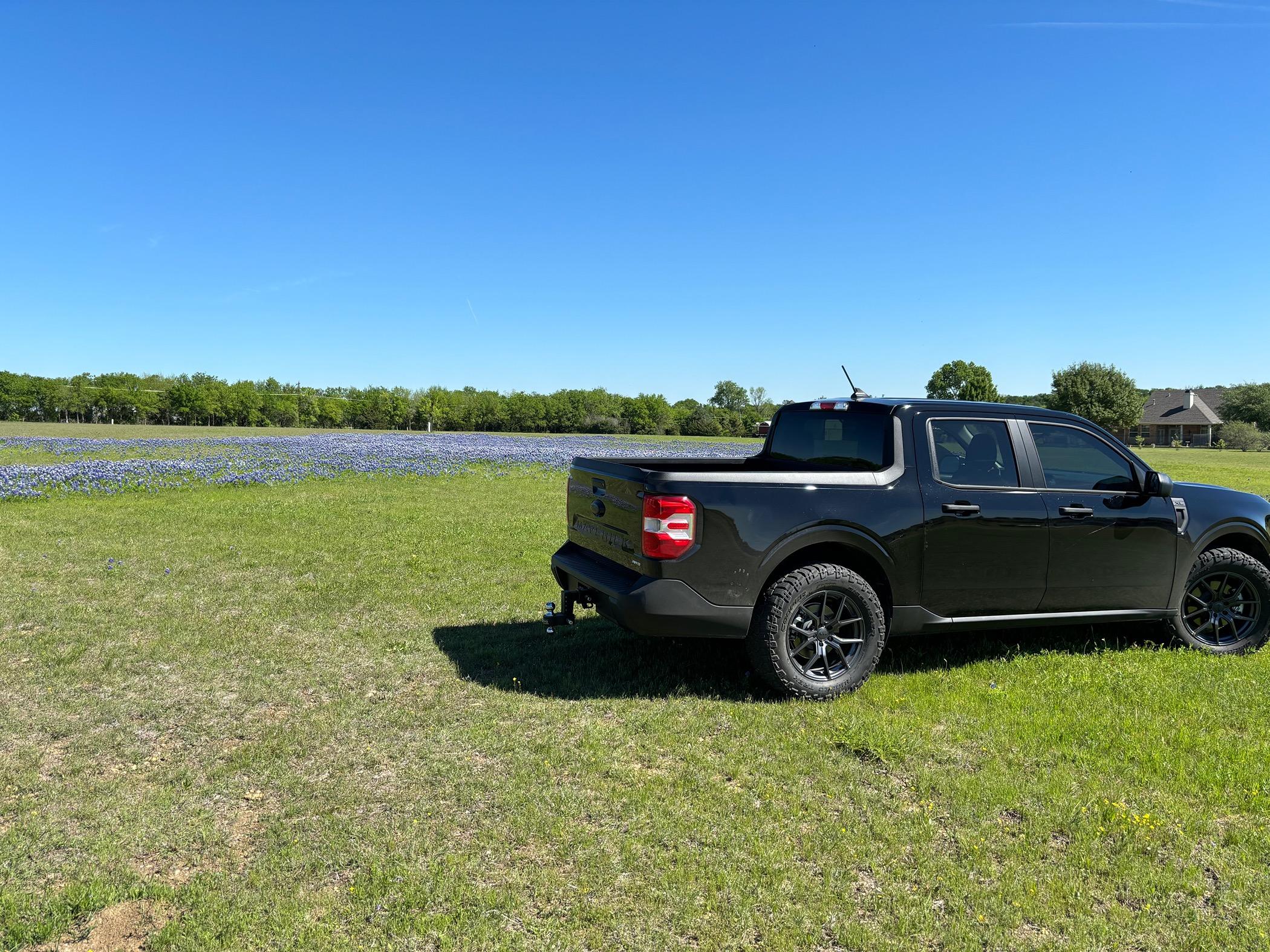 Ford Maverick Obligatory Maverick/Texas Bluebonnets pics IMG_5534
