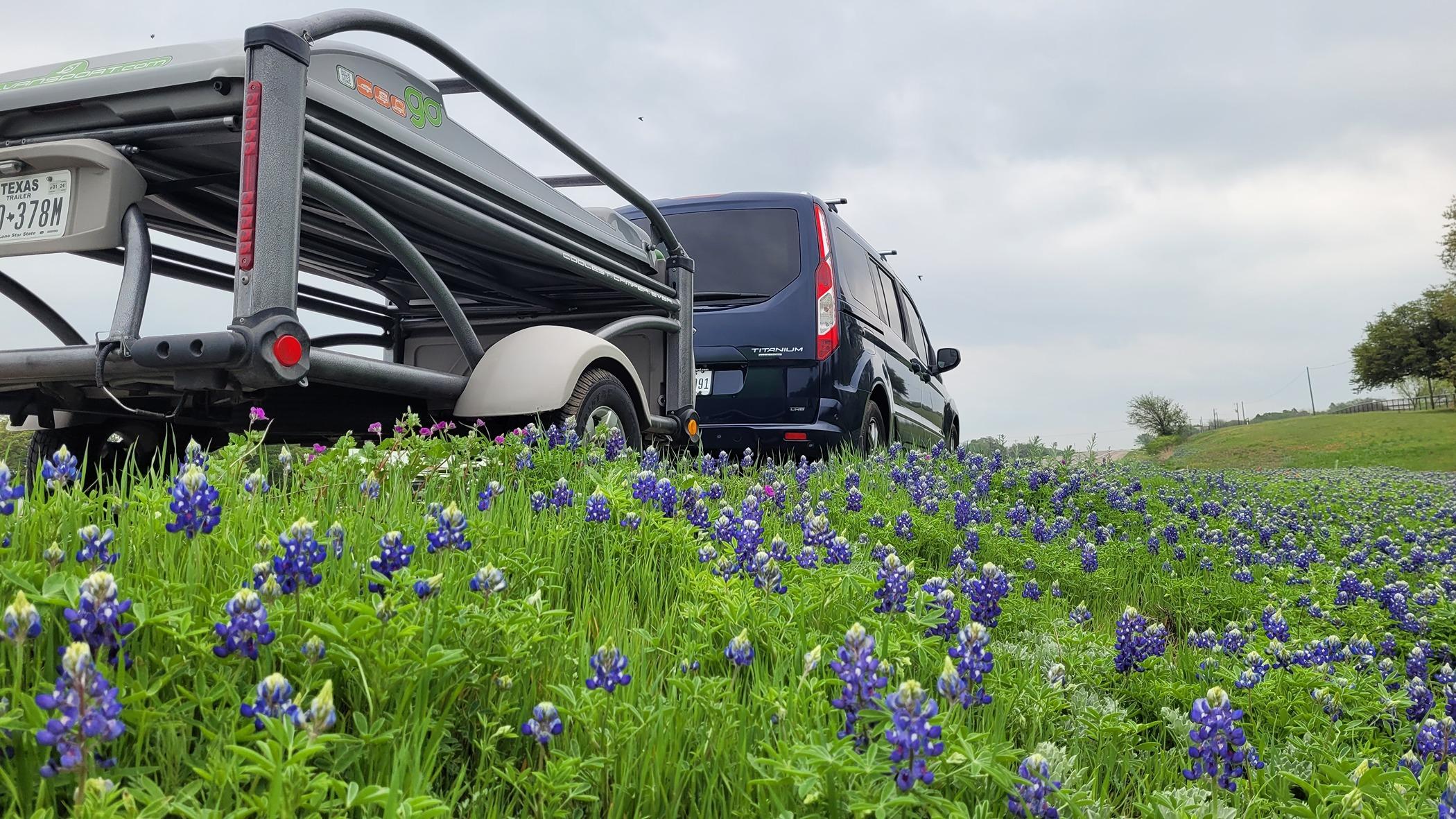Ford Maverick Obligatory Maverick/Texas Bluebonnets pics 20230404_103448