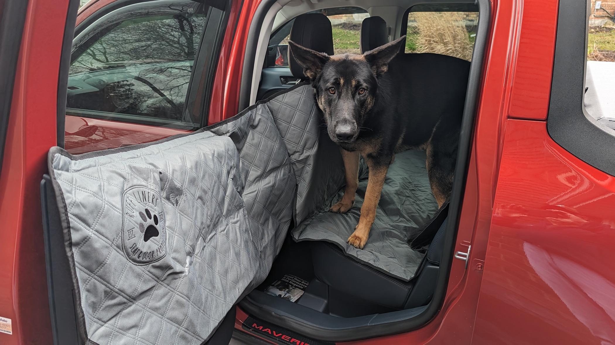 Ford Maverick Protection Liners for pets PXL_20240402_205500876.MP