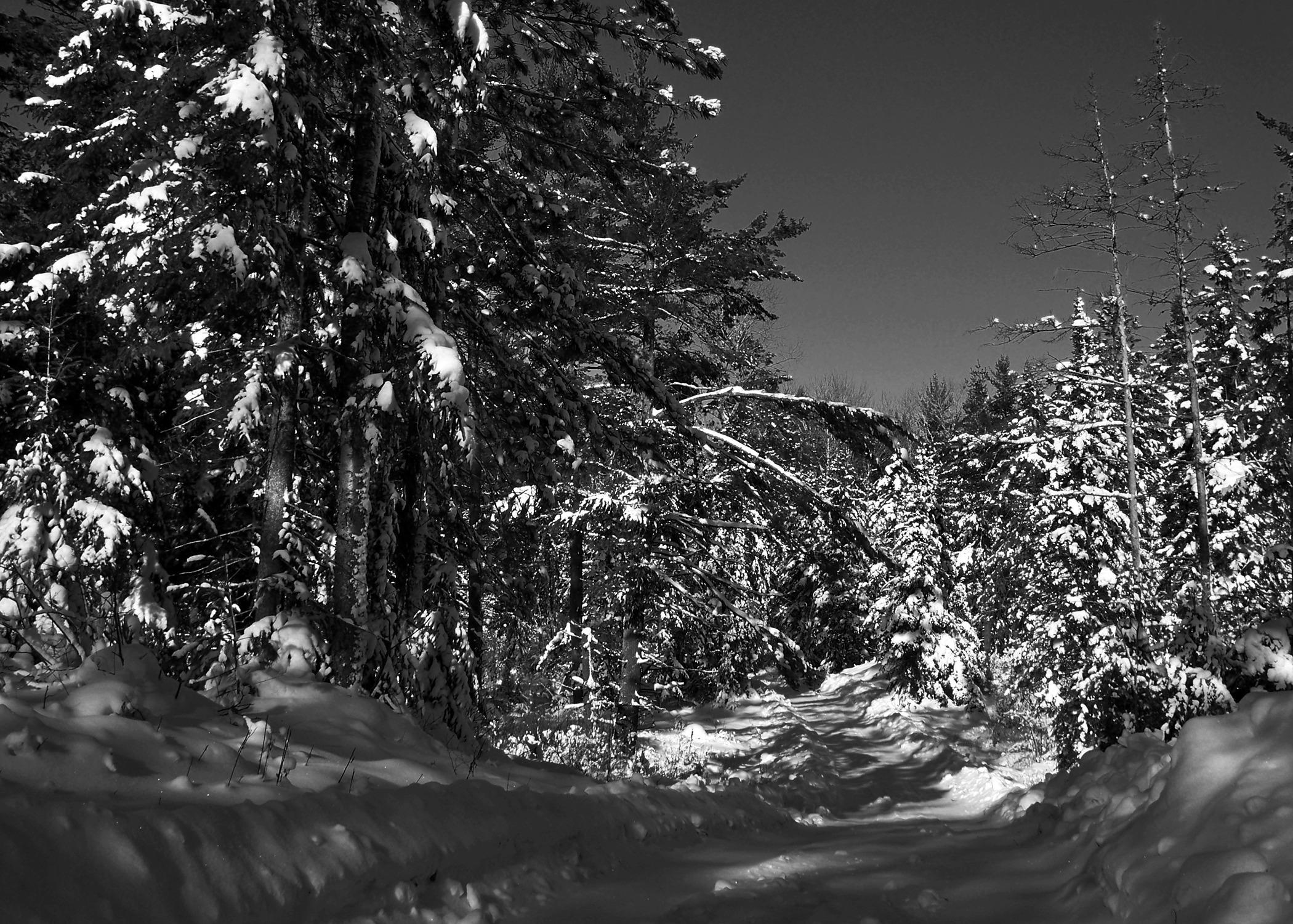 Ford Maverick Dudd Snow covered road.JPG