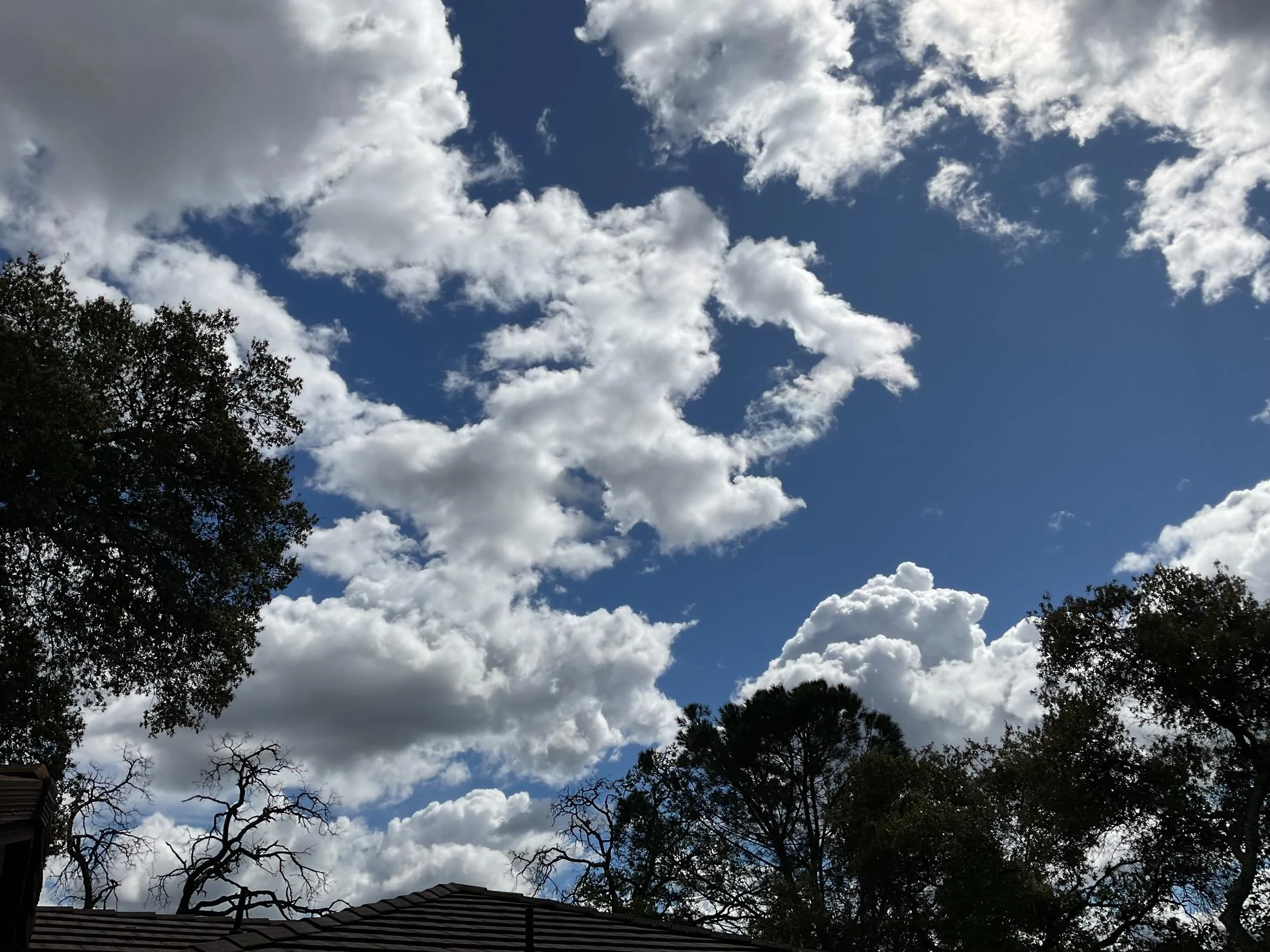 IMG_0379.jpeg