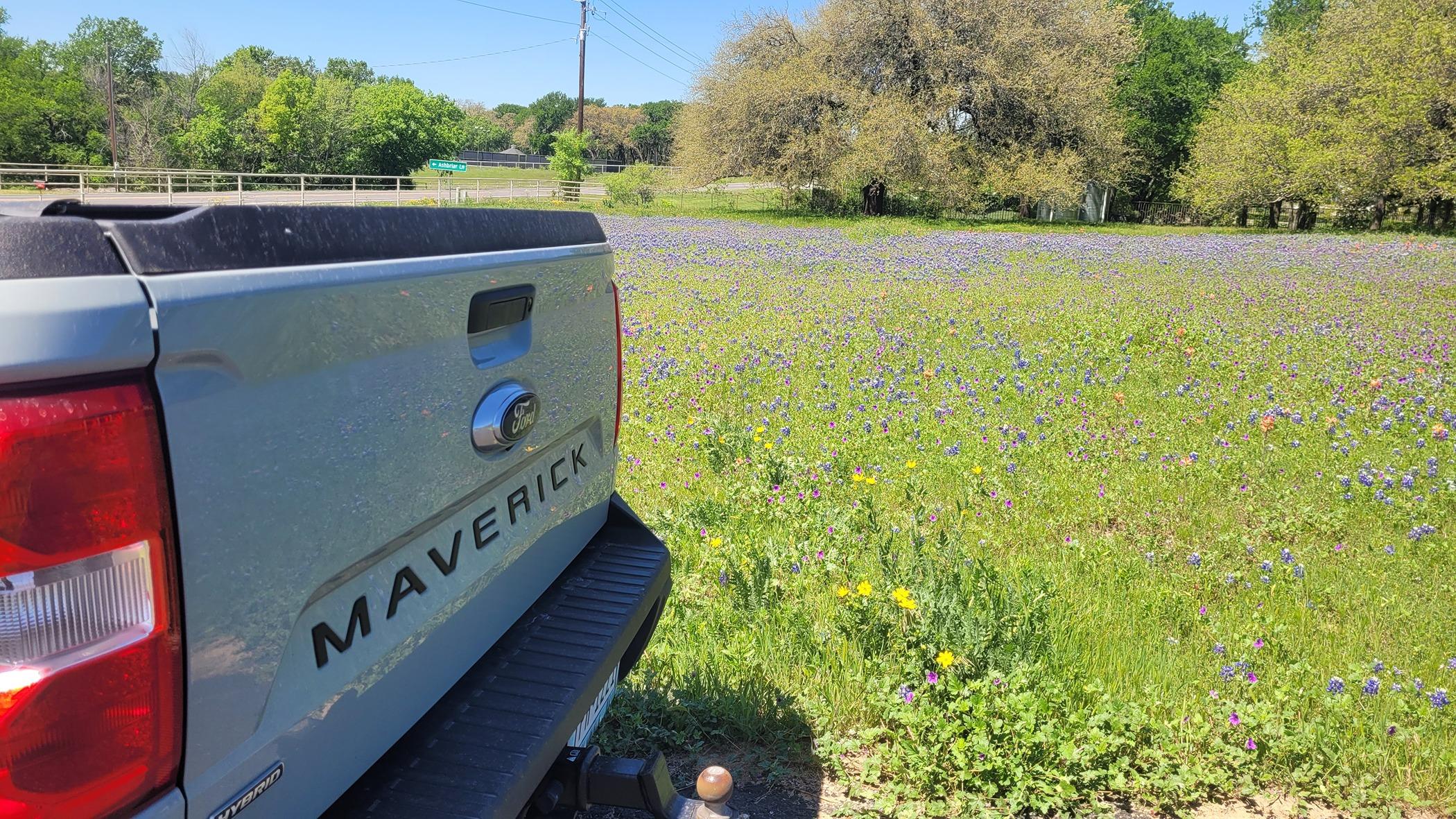 Ford Maverick New member from Texas/Maryland 20240403_125558