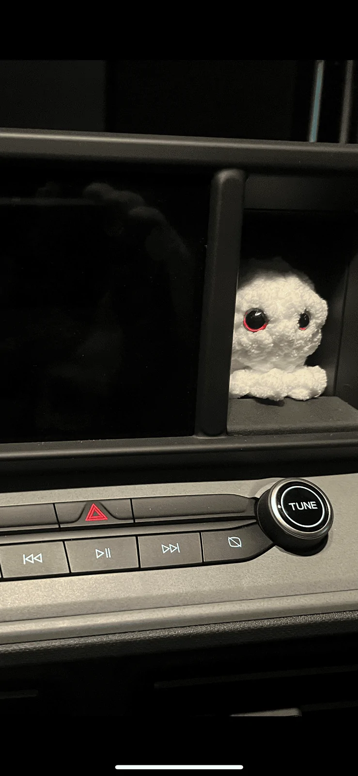 Ford Maverick Finally Found a Use for My Dash Cubby 1713621523205-m7