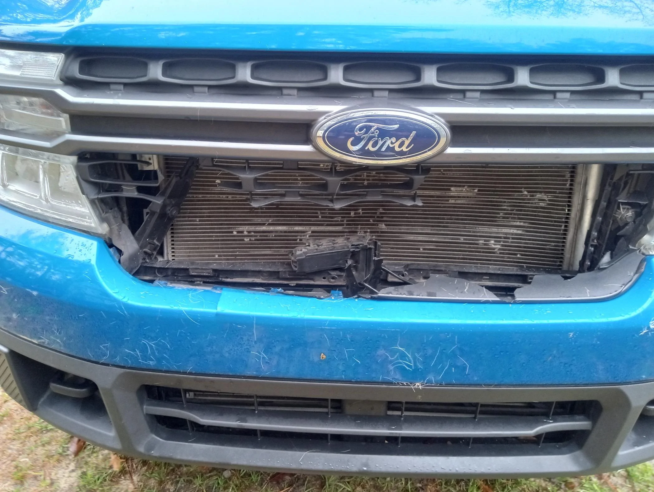 Ford Maverick Hit a Deer and need HELP sourcing replacement Active Shutter System IMG_20240302_085156561_HDR