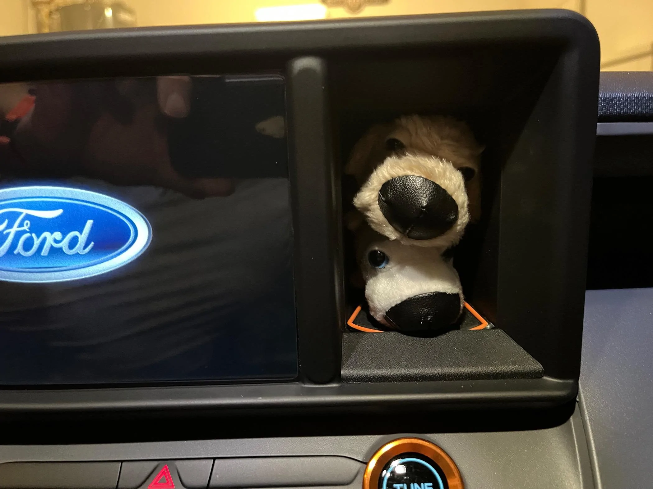 Ford Maverick Finally Found a Use for My Dash Cubby IMG_0115