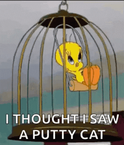 Ford Maverick Think I saw a 2025 Maverick LooneyTunesTweetyBirdGIF