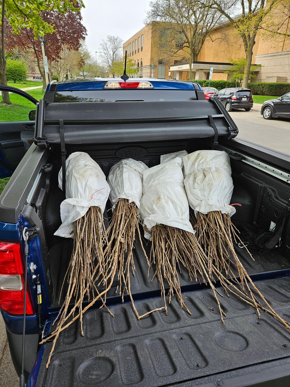 Ford Maverick What's your Maverick hauling in the bed? [Photos Edition] 20240426_092707