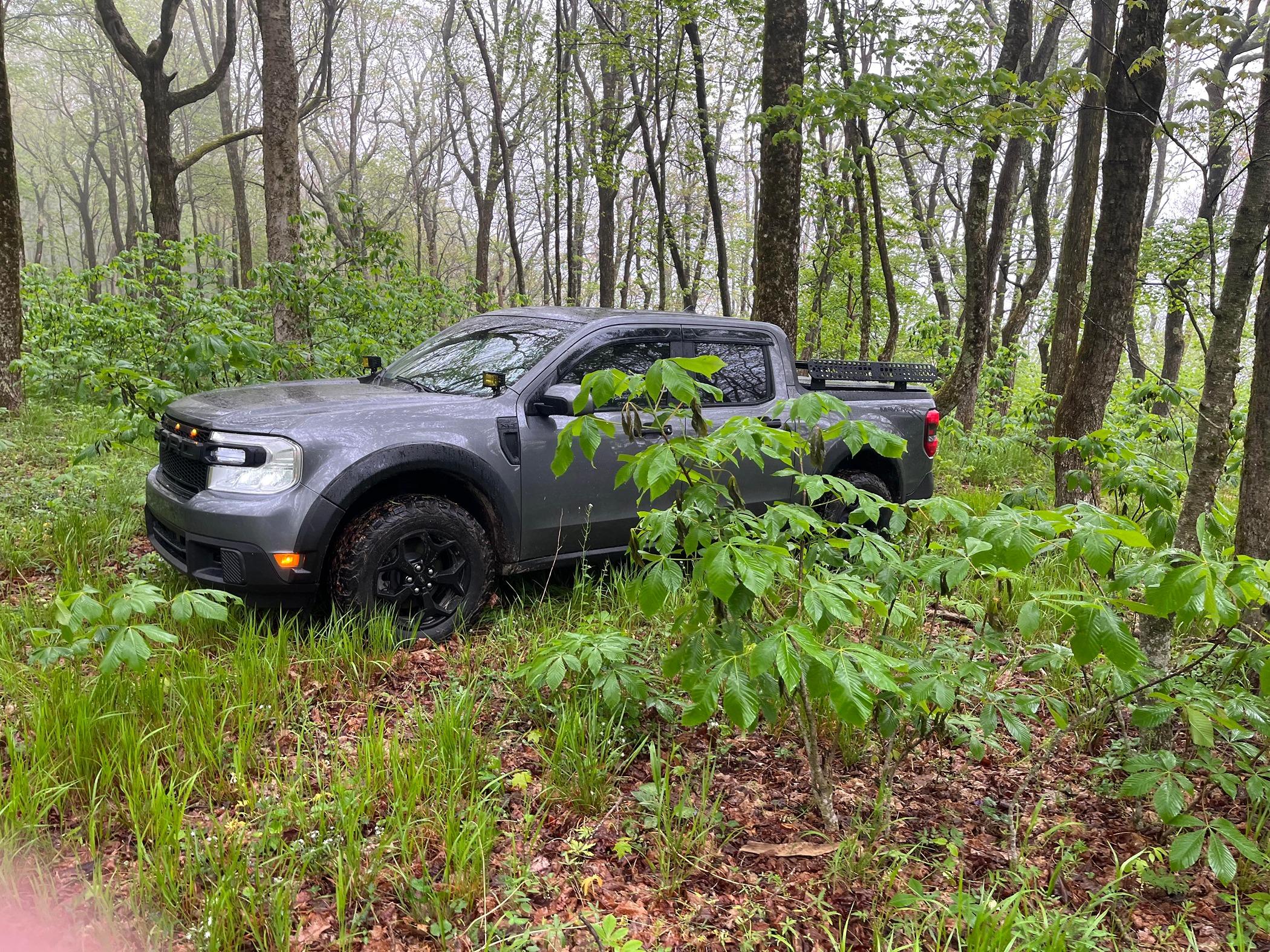 Ford Maverick FX4 KO2s RTR conquer to spread mom's ashes ❤️ received_1425179821449731