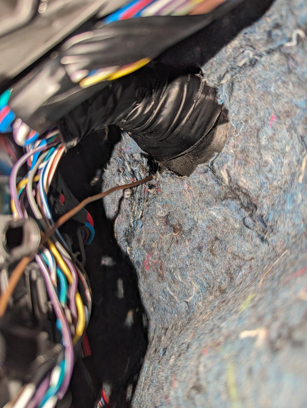 PXL_20240407_004928634.jpg
