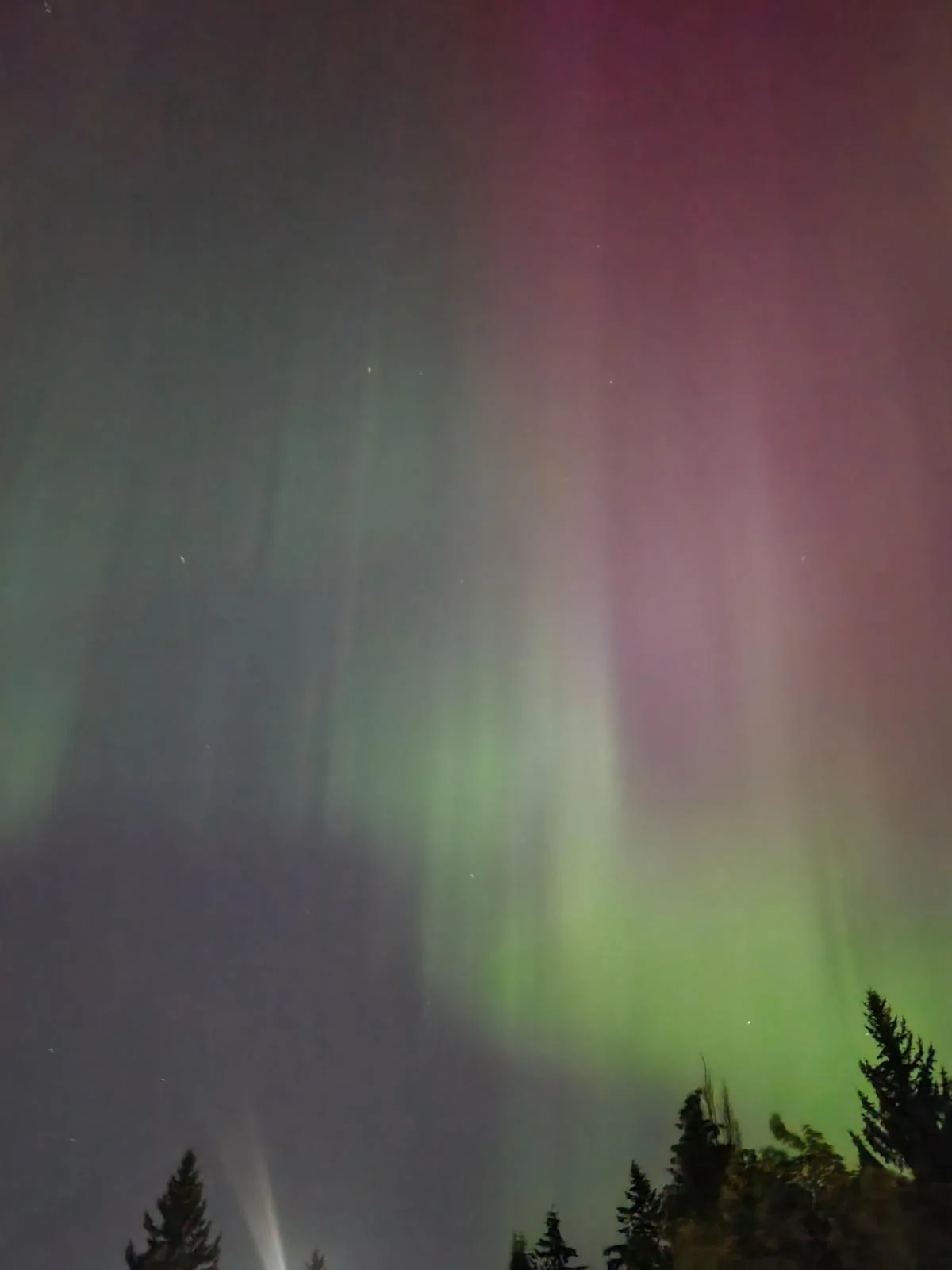 Ford Maverick Northern Lights - Post Your Photos 🔭 1000002343