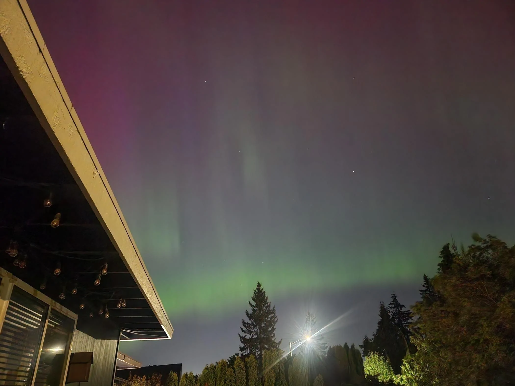 Ford Maverick Northern Lights - Post Your Photos 🔭 1000002372