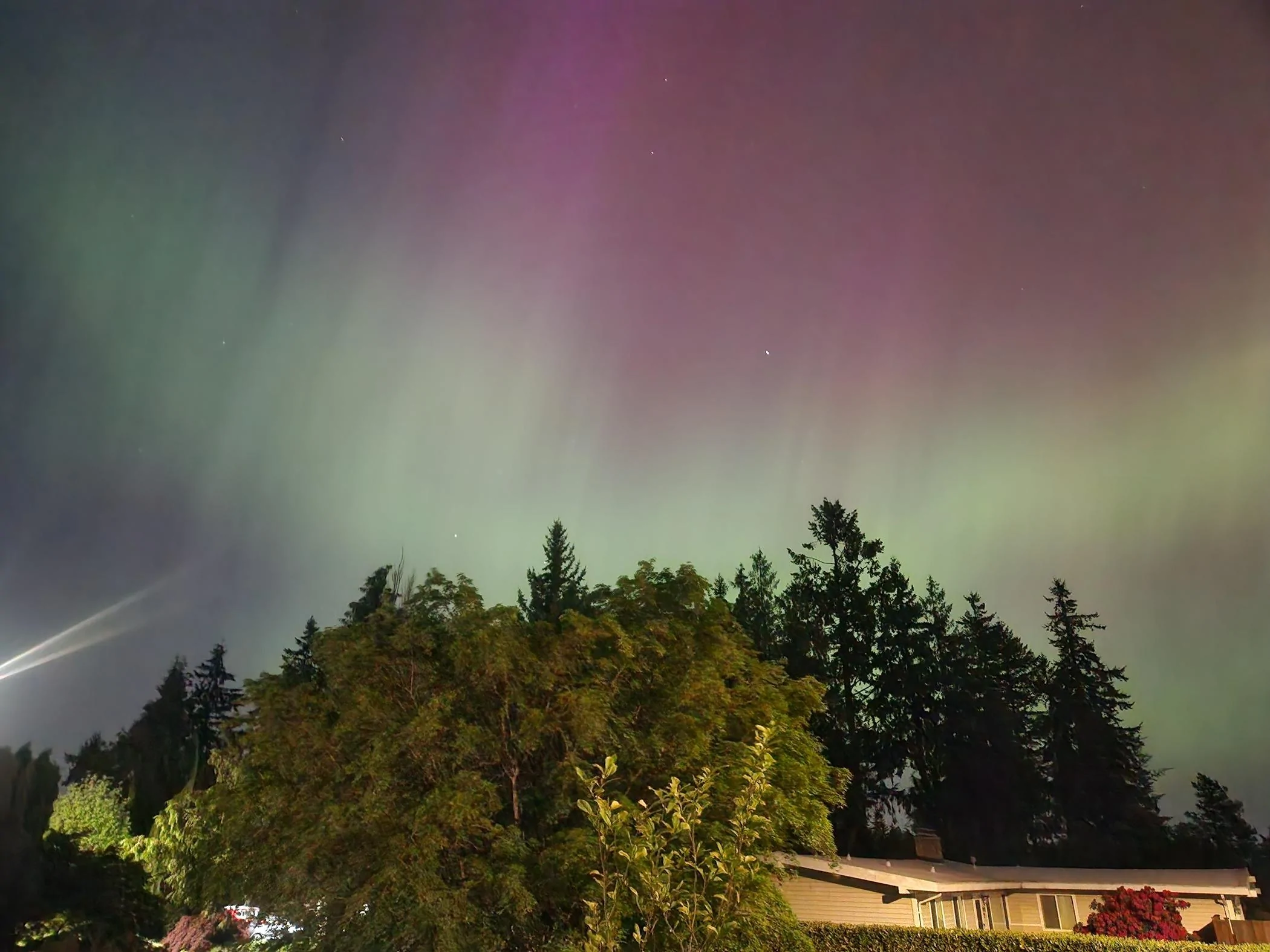 Ford Maverick Northern Lights - Post Your Photos 🔭 1000002347