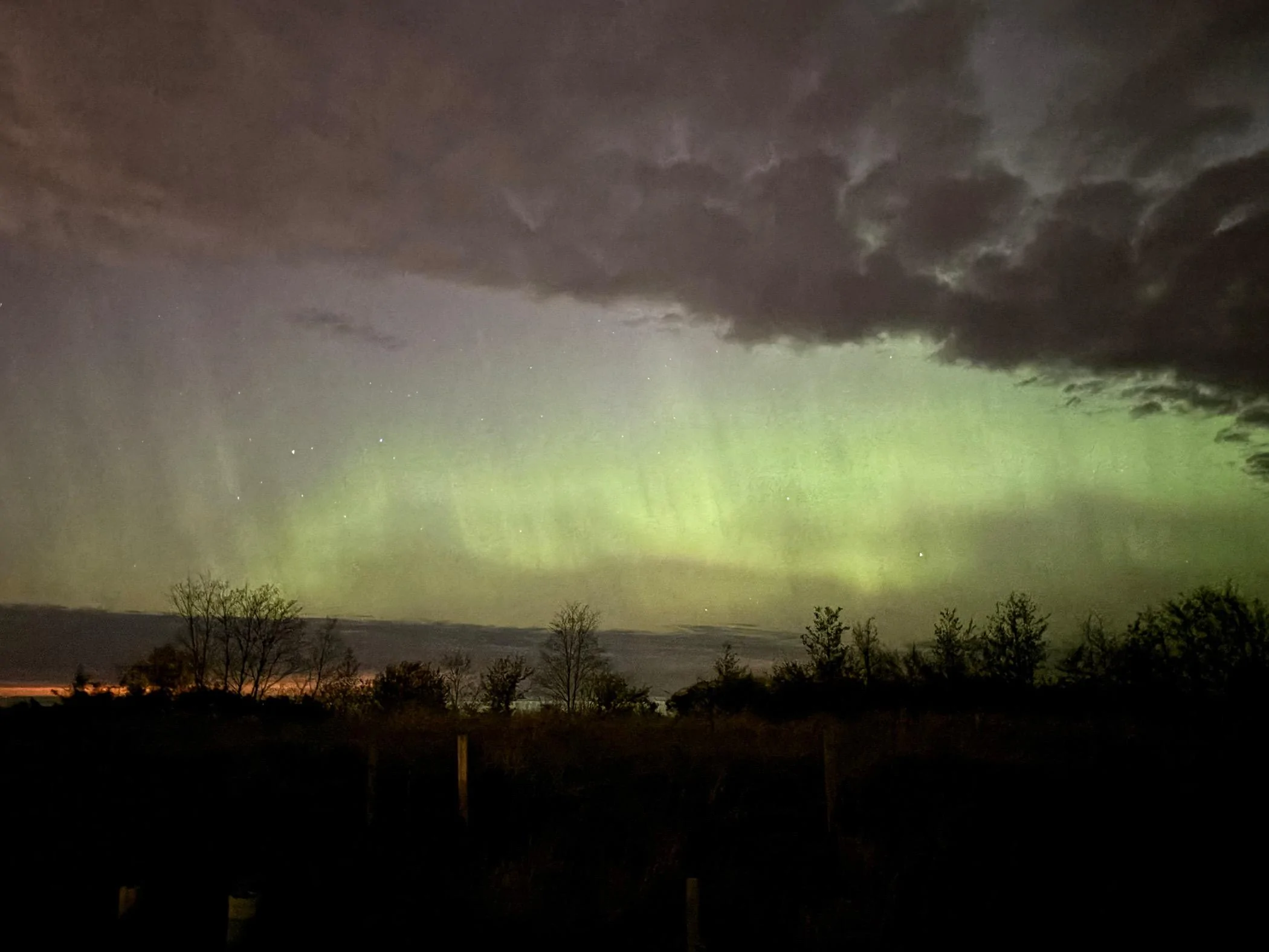 Ford Maverick Northern Lights - Post Your Photos 🔭 IMG_6610
