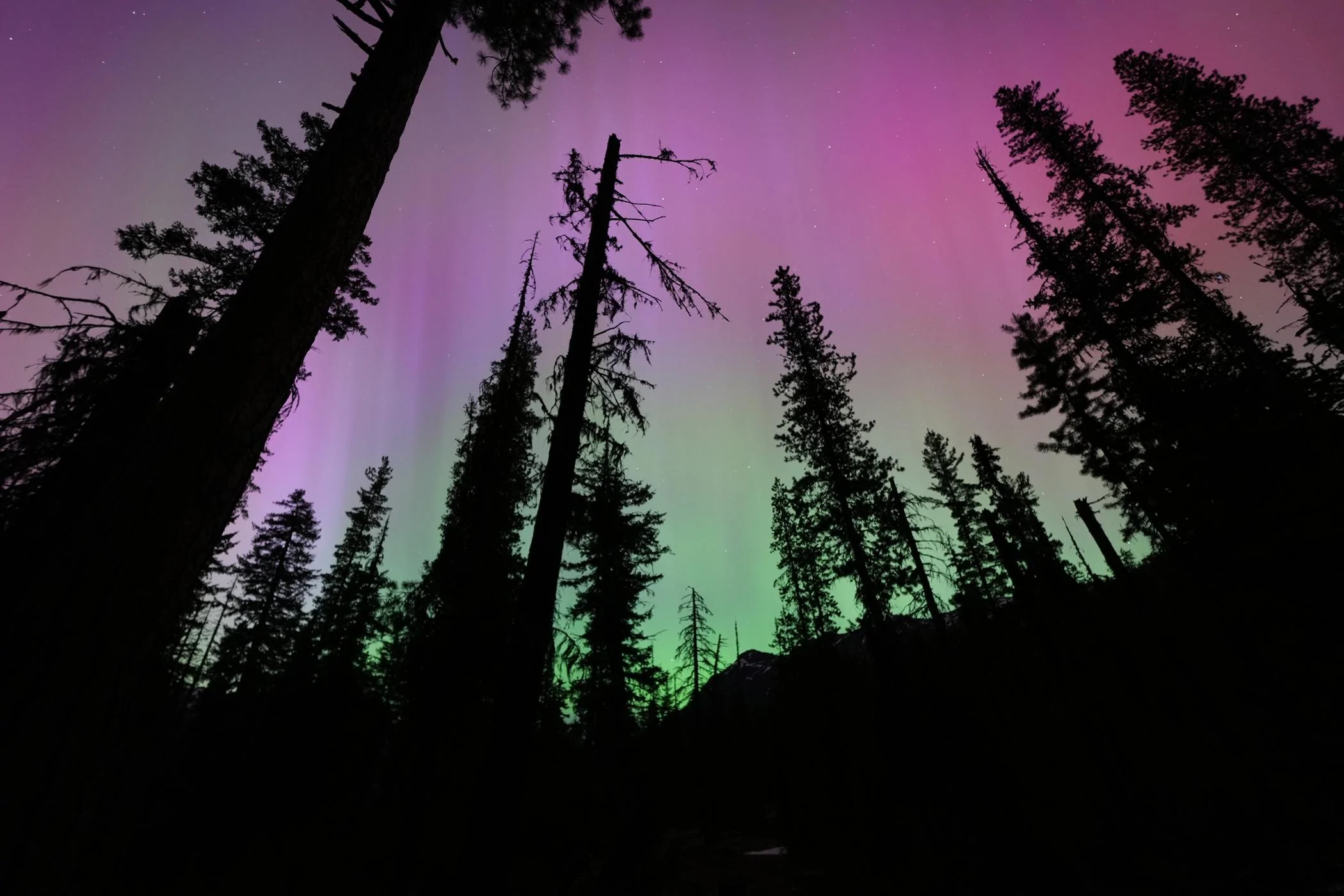 Ford Maverick Northern Lights - Post Your Photos 🔭 DSC00755