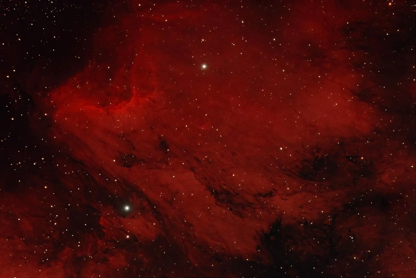 Ford Maverick Northern Lights - Post Your Photos 🔭 Pelican_Nebula_HD