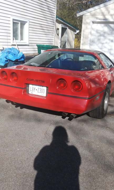 Ford Maverick GM guy Looking TO BUY A NEW MAVERICK vett