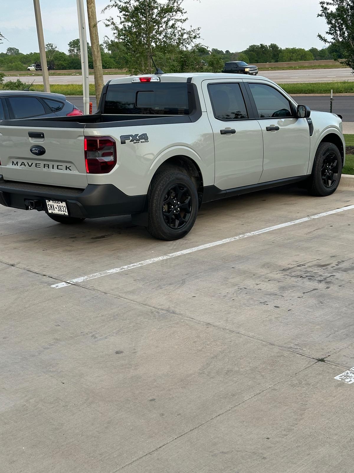 Ford Maverick Cactus  gray Check IMG_2029