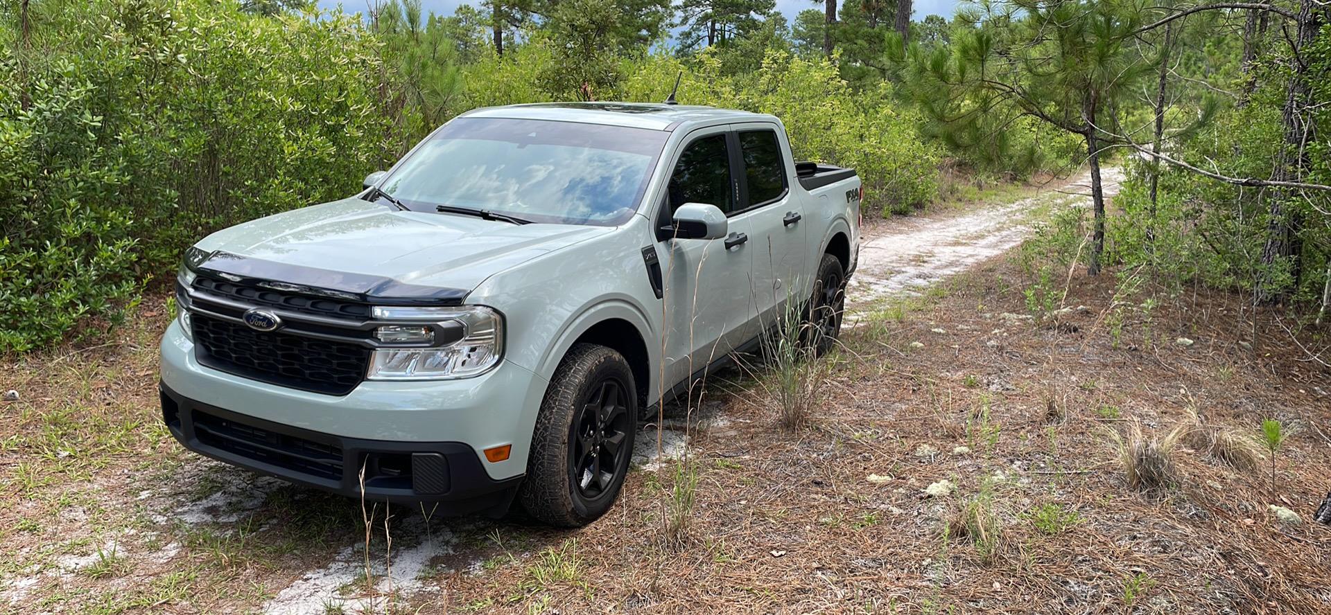 Ford Maverick Cactus  gray Check 4626C281-DDD5-41FE-B5E5-2A4FE2798E04