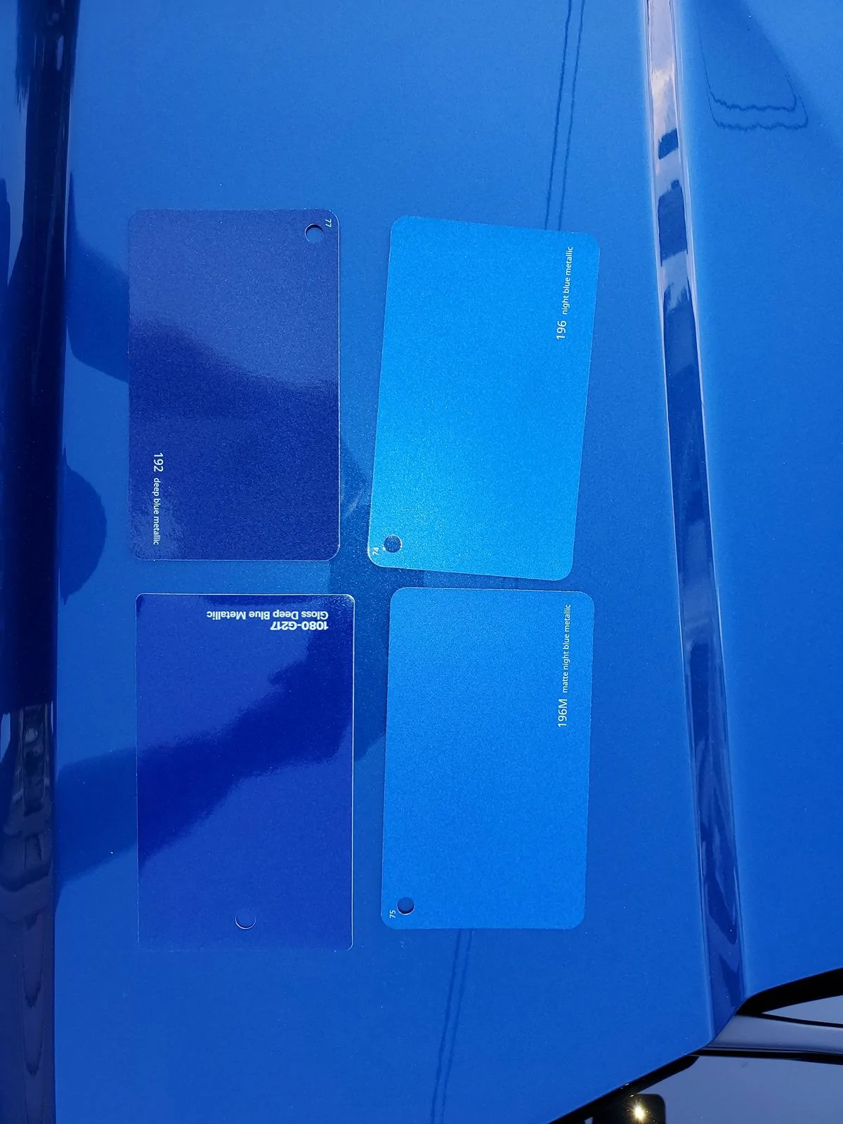Ford Maverick Color matched vinyl options [List] 20240518_190126