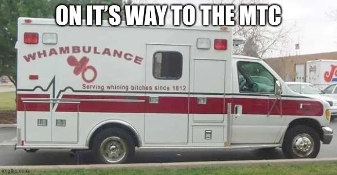 Ford Maverick Maverick Memes -  fun diversion while we wait [ ** NO POLITICS ** ] DAD49F5E-8B31-44A2-BED5-3DA9D467385E