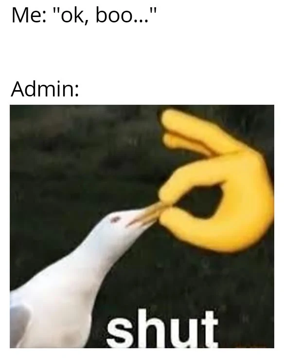 Ford Maverick Maverick Memes -  fun diversion while we wait [ ** NO POLITICS ** ] Shut Seagull 07112021180040