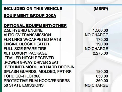 Ford Maverick Gas tank issues 1 of 1 WS