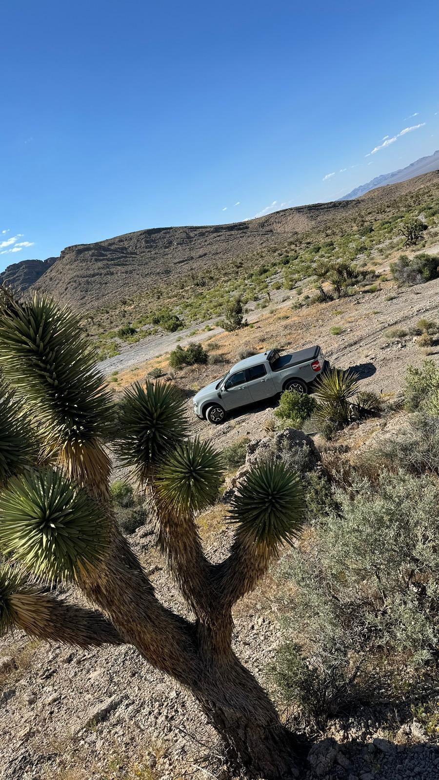 Ford Maverick Realized I love going offroad thanks to my Maverick! IMG_4229