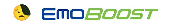 Ford Maverick EGO BOOST EmoBoost